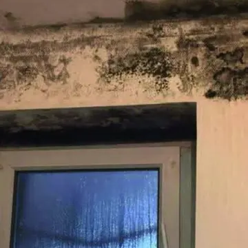 Moisissures noires au plafond